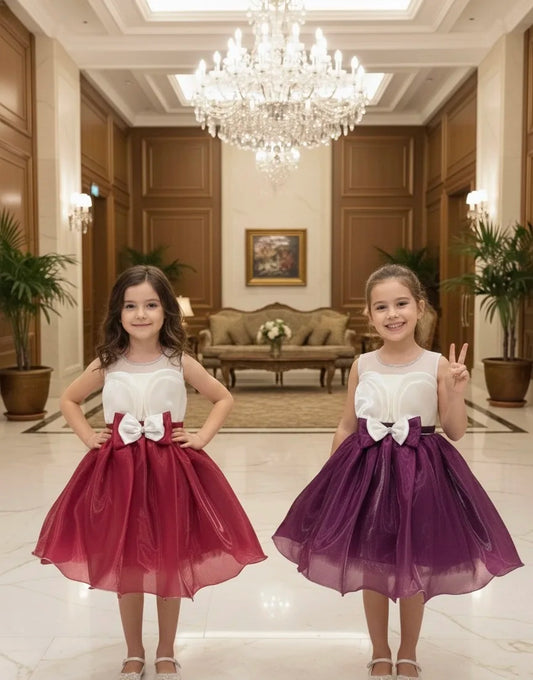 Elegant Shimmer Princess Dress - Available in Ruby Red & Royal Plum