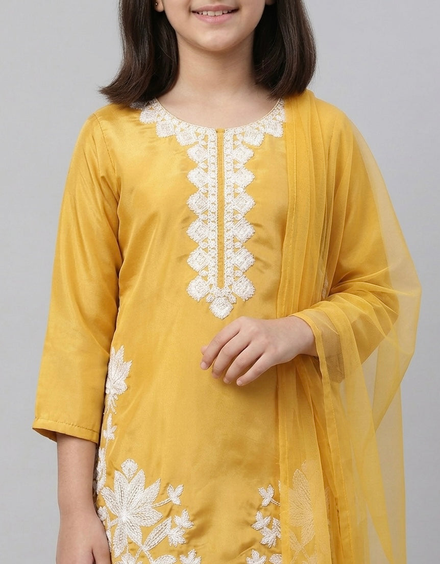 Chicken sequince embroidery pant set