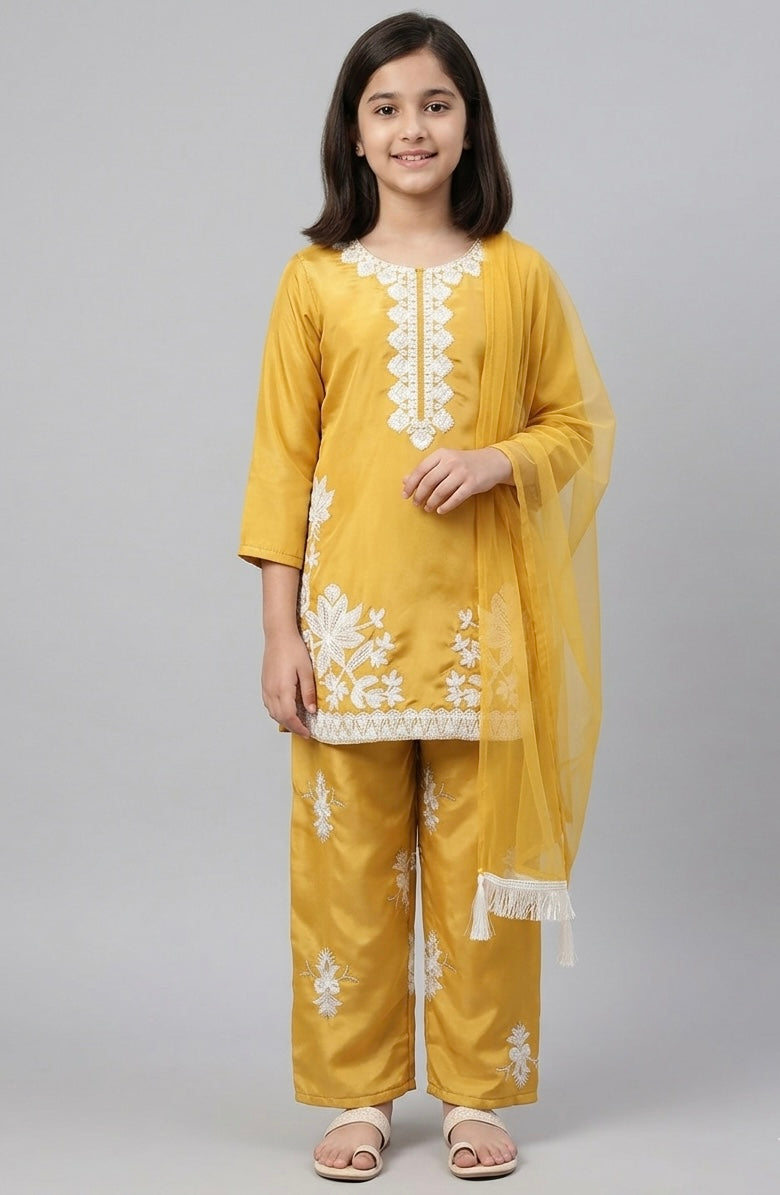 Chicken sequince embroidery pant set