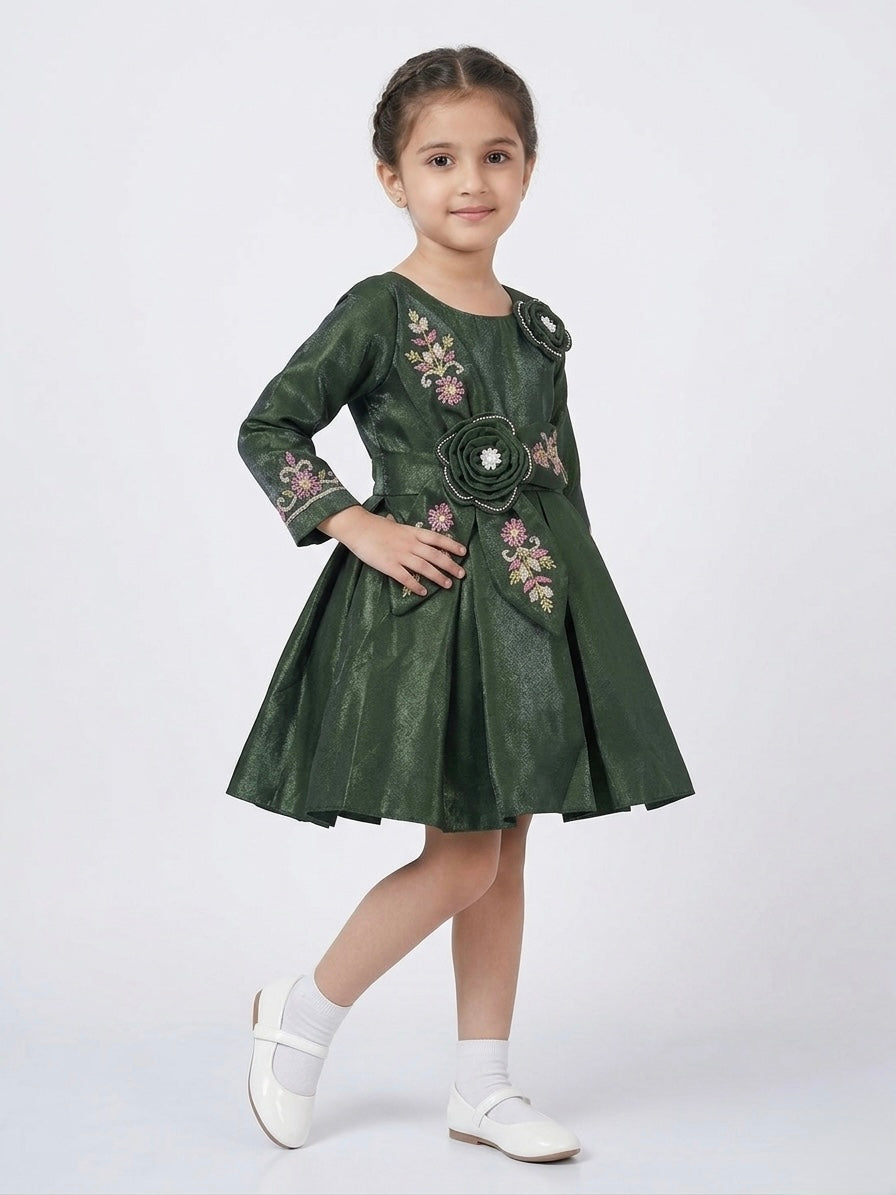 Fancy Party Frock