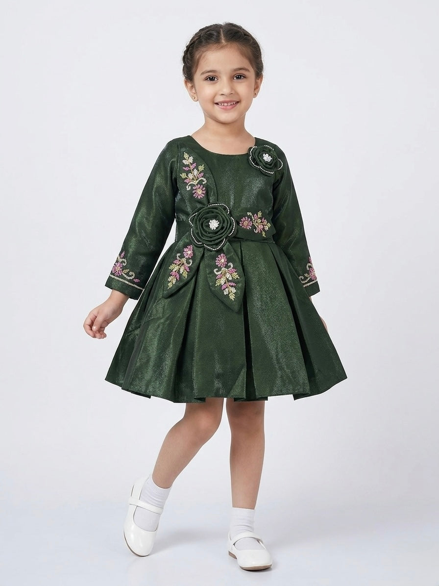 Fancy Party Frock