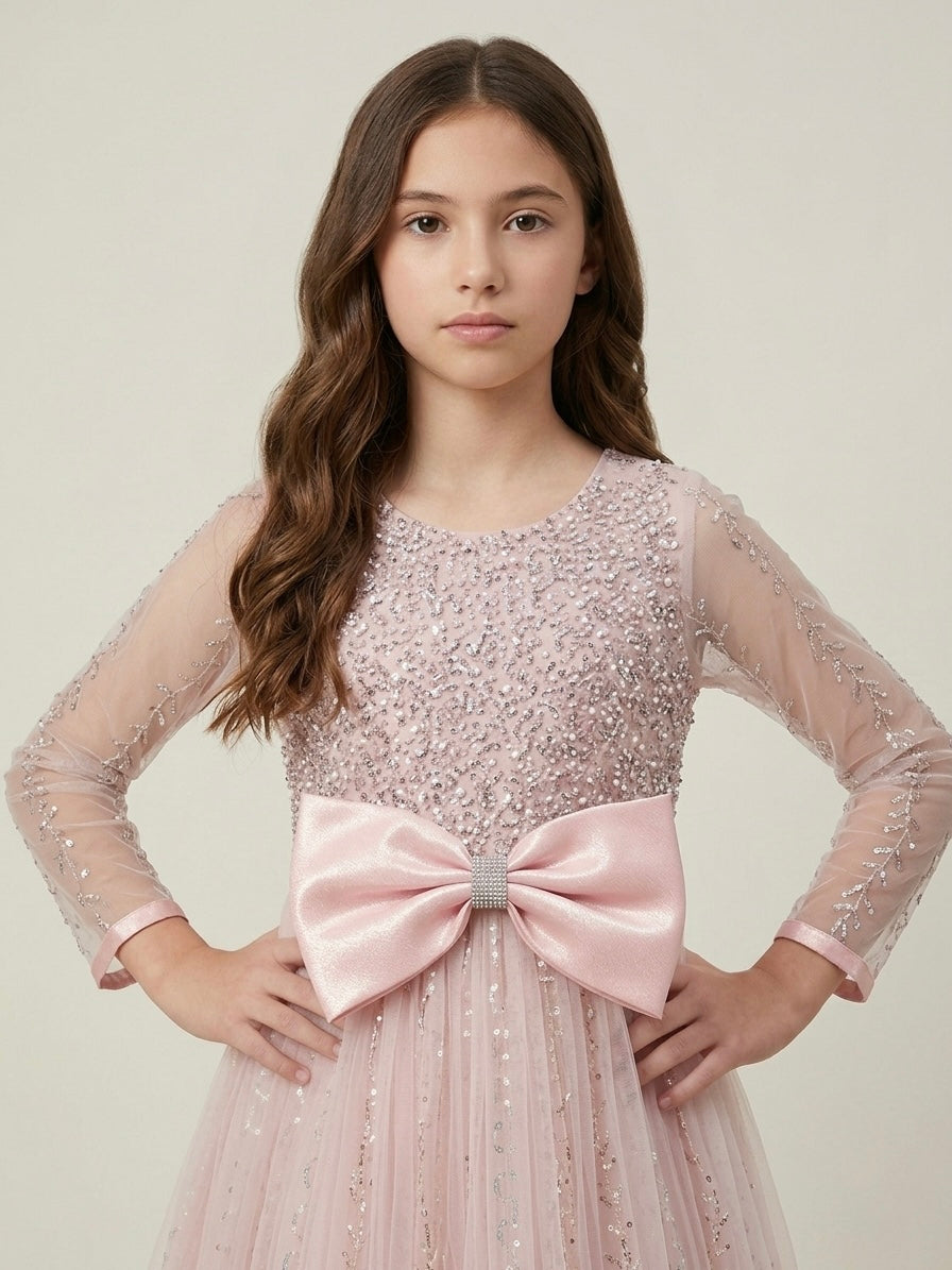 Elegant Pastel Pink Heavily Embellished Gown